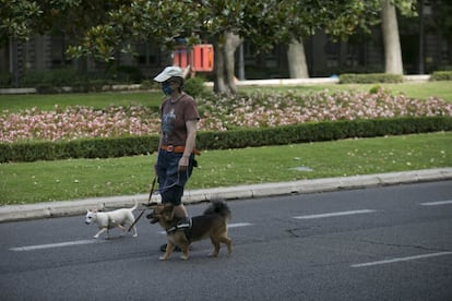 Según el informe de la Unesco, en el paseo del Prado se dan los valores necesarios para poder ser declarado Patrimonio Mundial: excepcionalidad y singularidad. En la imagen, un hombre pasea este domingo junto a sus perros.