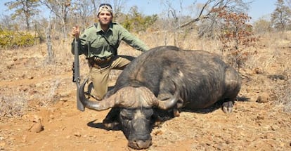 Donald Trump Jr posa con un búfalo durante un safari en África.