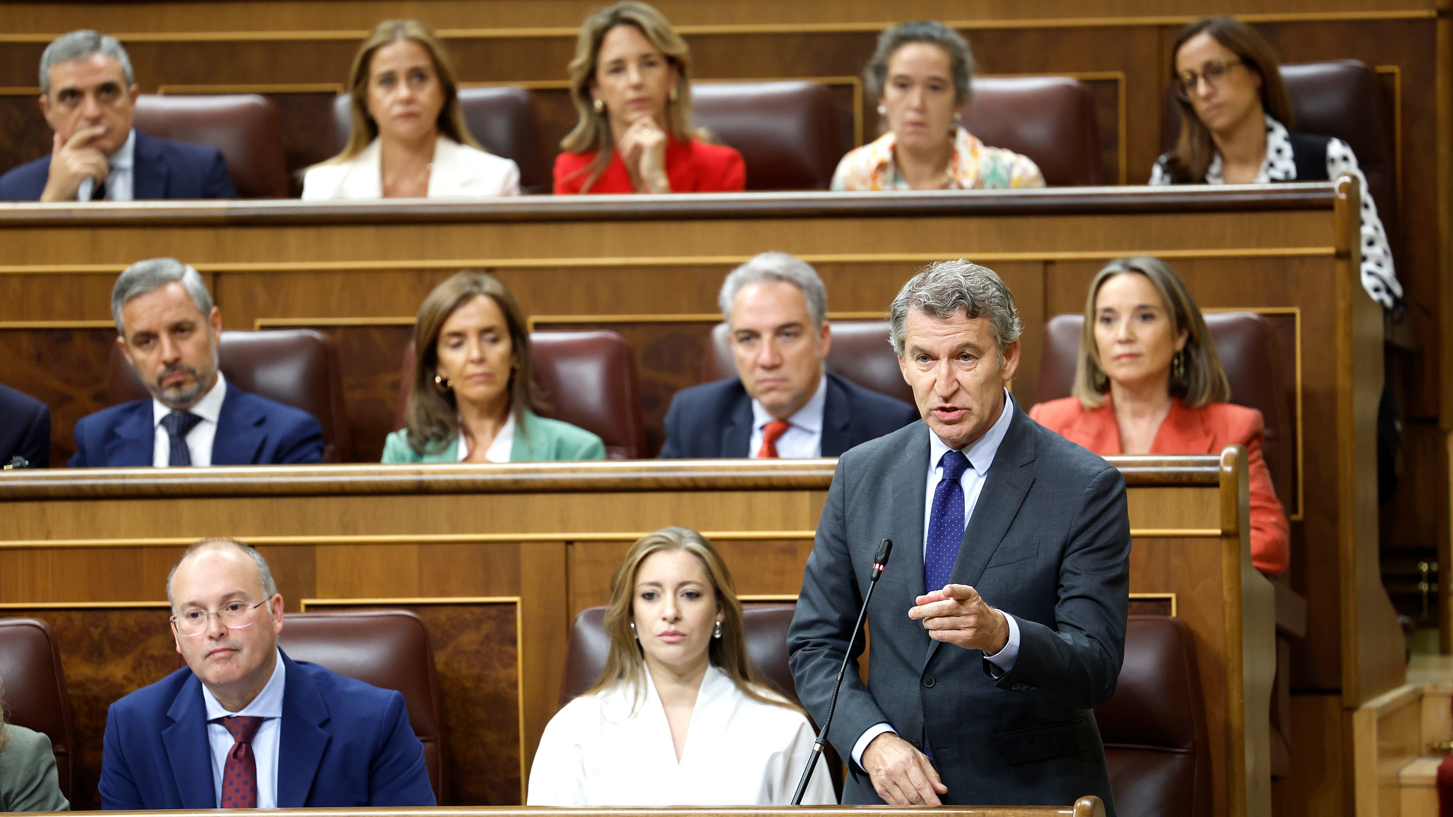 El líder del PP, Alberto Núñez Feijóo, durante su intervención en la sesión de control al Gobierno en el Congreso.