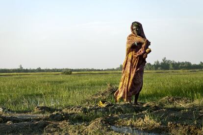 MINUSMA financió un proyecto de impacto rápido para apoyar a cooperativas de agricultores de tres comunidades de Tombuctú, Mali.
