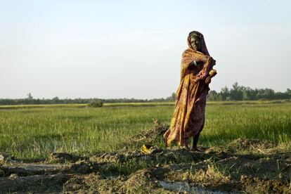 MINUSMA financi&oacute; un proyecto de impacto r&aacute;pido para apoyar a cooperativas de agricultores de tres comunidades de Tombuct&uacute;, Mali.