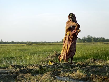 MINUSMA financi&oacute; un proyecto de impacto r&aacute;pido para apoyar a cooperativas de agricultores de tres comunidades de Tombuct&uacute;, Mali.