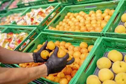 02/11/2020 Naranjas y mandarinas de temporada en Mercadona
ECONOMIA ESPAÑA EUROPA MURCIA
MERCADONA
