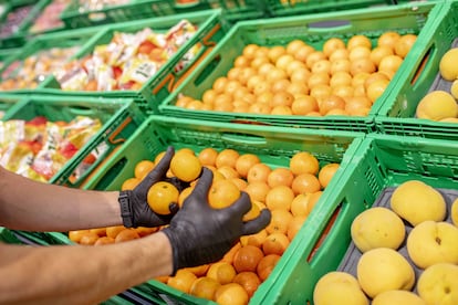 02/11/2020 Naranjas y mandarinas de temporada en Mercadona
ECONOMIA ESPAÑA EUROPA MURCIA
MERCADONA
