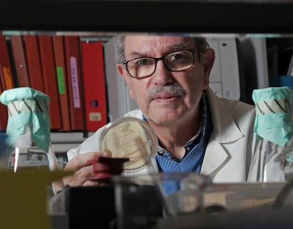 Vicente Larraga, investigador experto en vacunas, en su laboratorio del CSIC este miércoles.