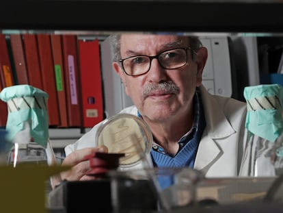 Vicente Larraga, investigador experto en vacunas, en su laboratorio del CSIC este miércoles.