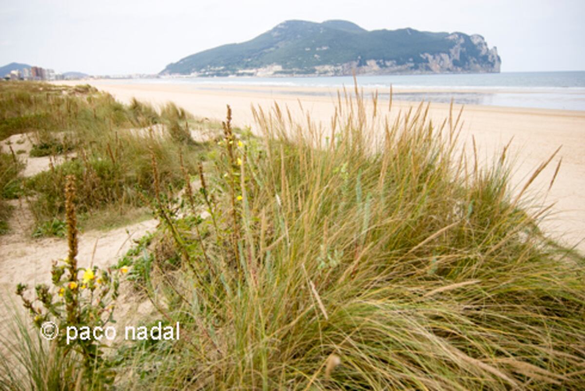 Playas de ensueño, urbanismo de espanto... también en el norte | El blog de  viajes de Paco Nadal | El Viajero | EL PAÍS