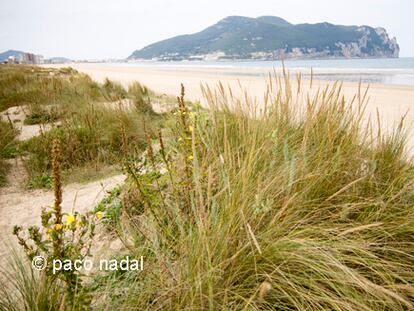 Playas de ensueño, urbanismo de espanto... también en el norte