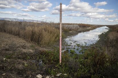 Escala de profundidad en el cauce del río Guadiana, en una de las zonas que deberían estar inundadas en esta época del año. Sin embargo, la escala marca cero centímetros.