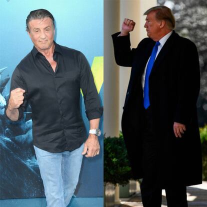 <p>No hay tanta distancia entre la estrella de acción y el presidente de Estados Unidos: ambos fueron, antes que nada, figuras icónicas de la cultura pop. Uno por sus puñetazos certeros, el otro por sus excesos monetarios. Stallone ha estado en la Casa Blanca visitando a Trump aunque no se haya mostrado públicamente partidario de su Administración: lo hizo en mayo de 2018 cuando el presidente concedió, a petición del actor, el perdón póstumo al campeón afroamericano de boxeo <a href="https://www.bbc.com/mundo/deportes-43879709" target="_blank">Jack Johnson</a> (condenado injustamente por motivos raciales).</p>