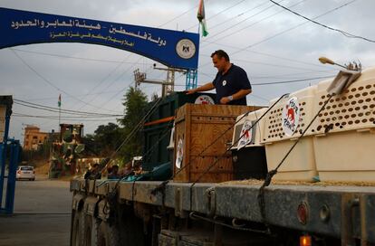 Miembros de la ONG 'Four Paws' (Cuatro Patas) transportan a los animales a través de la frontera de Erez en dirección Israel, tras ser evacuados del zoo de Khan Younis, al sur de Gaza. 'Four Paws' ha estado visitando el zoo durante los últimos meses para poder rescatar a los animales.