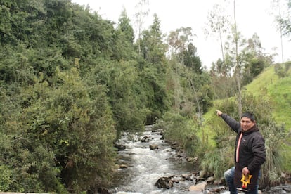 Un indígena del Gran Resguardo del Cumbal muestra uno de los relictos de bosque altoandino que buscan conservar