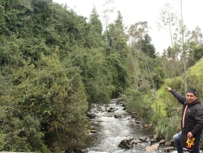 Un indígena del Gran Resguardo del Cumbal muestra uno de los relictos de bosque altoandino que buscan conservar.