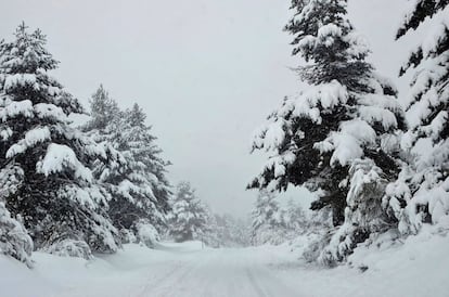 Vista de la neu caiguda al Puerto de las Señales (Lleó).