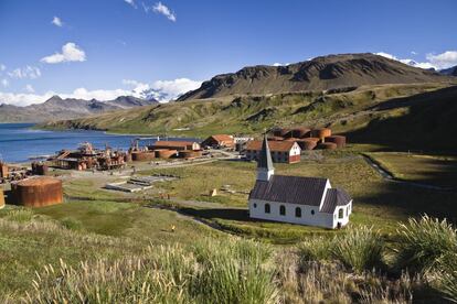 Las islas Georgias del Sur, donde reposan los restos del legendario explorador polar, en pleno y tempestuoso Atlántico sur, acogió en sucesivas oleadas a cazadores de focas (siglo XIX) y de ballenas. Cuando la comunidad ballenera establecida en Grytviken desde principios del XX casi extingue la población de cetáceos en la década de los 60, quedó abandonada.