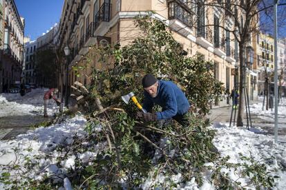 Un vecino corta con un hacha un árbol caído tras la intensa nevada, en la plaza de la Ópera de Madrid.