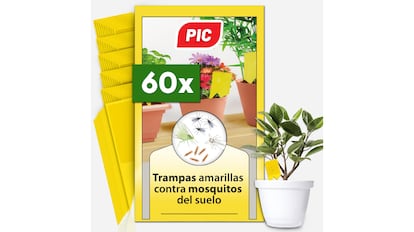 Forti trappole adesive gialle per combattere l'aspetto delle zanzare.