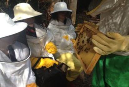Las participantes visitan una empresa dedicada a la apicultura.