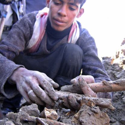 Un joven iraquí recopila huesos humanos en una fosa común descubierta en Kerbala.