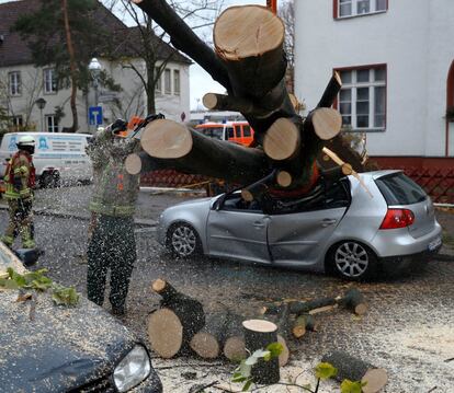Los bomberos tratan de cortar un árbol que cayó sobre un coche aparcado durante el paso de la tormenta Herwart en Berlín el 29 de octubre.