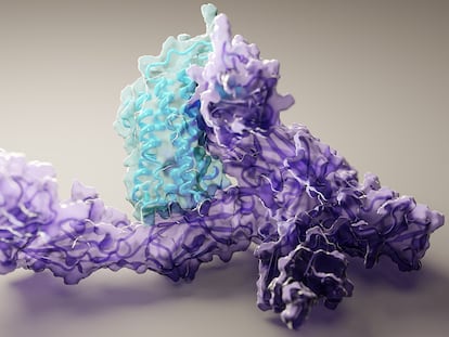 Simulación de la estructura de dos proteínas.