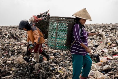 Mak Muji, de 55 años, selecciona plásticos y materiales en lo más alto de la montaña de basura de Bantar Gebang, el mayor vertedero de residuos sólidos de Yakarta (Indonesia), una ciudad de más de 15 millones de habitantes. Todos los días, al alba, cruza la carretera que pasa delante de su pueblo para recolectar desperdicios, principalmente plásticos, pero también latas, zapatos, hierro… Los mete todos en su cesta para más tarde clasificarlos y venderlos a fábricas de reciclaje.