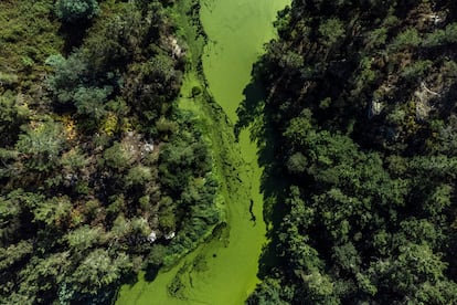 Vista aérea tomada con un dron muestra el caudal debilitado del río Arenteiro, junto a la presa de Bouteiro, en Ourense. El río está en prealerta por su bajo caudal a causa de la sequía que afecta a toda España.