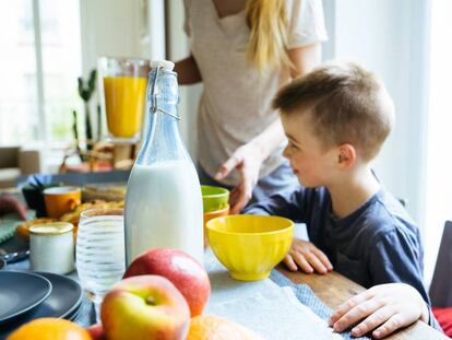 Leche y bebidas vegetales: diferencias nutricionales