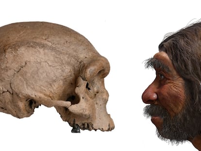 A ‘Homo longi’ skull (l). A reconstruction of his possible appearance (r).