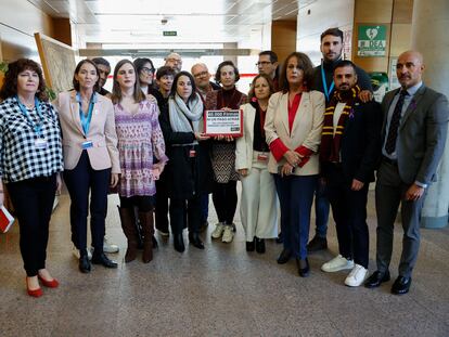 Diputados regionales del PSOE y Más Madrid, este jueves en la entrega de 40.000 firmas en la Asamblea de Madrid contra la modificación de las leyes LGTBI y Trans.