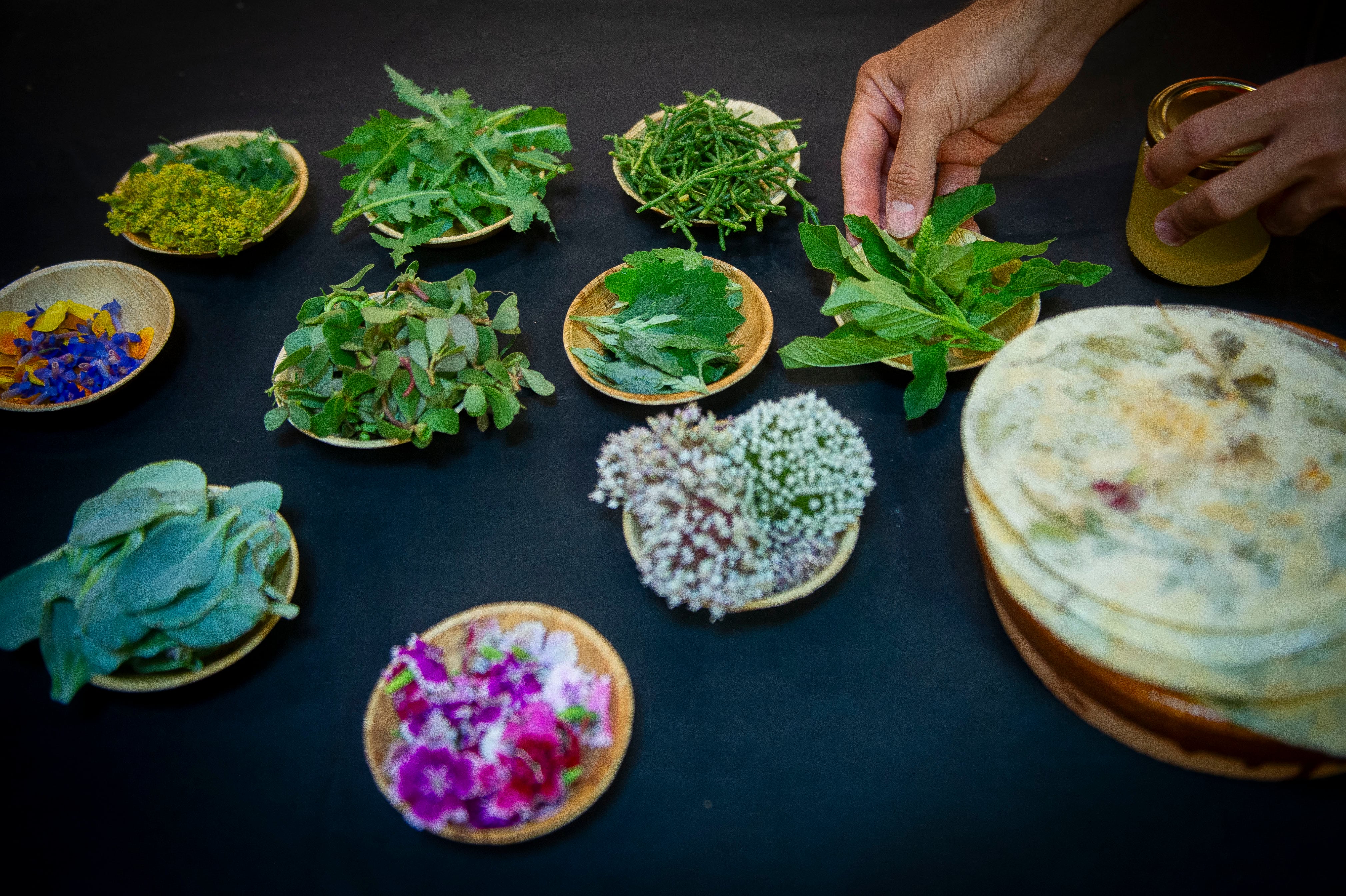 Una planta que sabe a marisco o una flor que adormece la boca, las sorprendentes degustaciones de El Herbario Comestible 