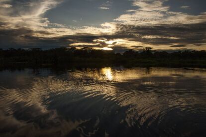 El sol se va apagando mientras la noche llega y pinta de sombras las aguas de la laguna de Jatuncocha, en el Parque Nacional Yasuní.