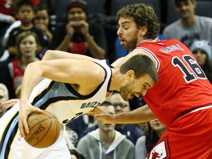 Marc y Pau Gasol, durante el Bulls-Grizzlies de esta temporada. 