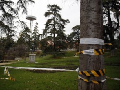 Árboles señalados para su apeo en el parque del Oeste