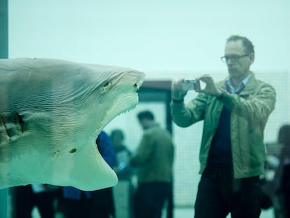 'The Physical Impossibility of Death in the Mind of Someone Living', el cadáver de un tiburón que el británico Damien Hirst metió en un tanque de formaldehido en la Tate Modern de Londres.