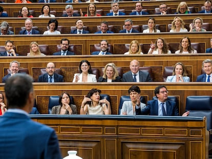El presidente del Gobierno, Pedro Sánchez, en el Congreso durante la sesión de control este miércoles.