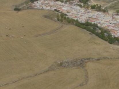 Asta Regia, asentamiento de tartesios, fenicios o romanos y uno de los sitios arqueológicos más importantes de Andalucía, espera a ser excavado