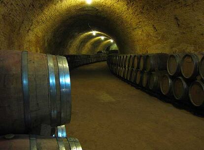 Barricas de roble en las cuevas de la Real Bodega Carlos III.