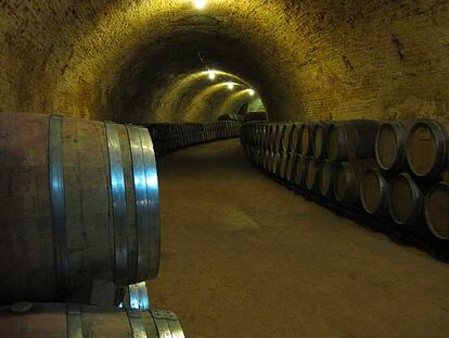 Barricas de roble en las cuevas de la Real Bodega Carlos III.