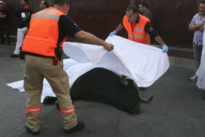 Dos agentes de Protección Civil cubren al toro que ha sido sacrificado en los encierros de Leganés después de chocar con otro.