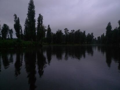 Los canales de Xochimilco al amanecer.