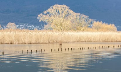 El lago de Bourget, a la altura de la localidad de Aix-les-Bains, en el departamento francés de Saboya.