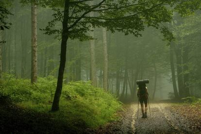 Un excursionista en el puerto de Urkiaga, en Navarra.