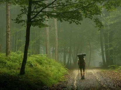 Un excursionista en el puerto de Urkiaga, en Navarra.