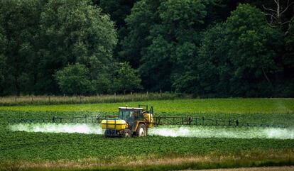 Aplicación de pesticidas en una explotación agrícola de Bailleul, en el norte de Francia.