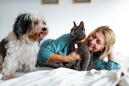 Consejos vejez en perros y gatos