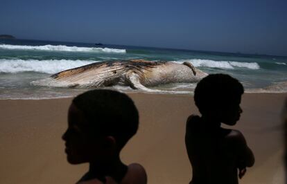 Dos niños observan una ballena muerta en la playa de Ipanema en Río de Janeiro (Brasil).
