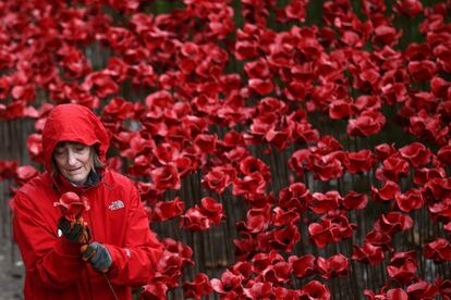 Voluntarios comienzan a retirar las 888.246 amapolas de cerámica que representan cada uno de los hombres y mujeres de la Commonwealth que murieron en la primera guerra mundial (Londres).