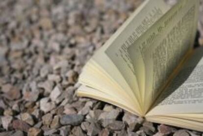 Imagen mona de un libro.