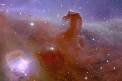 The Horsehead Nebula.
